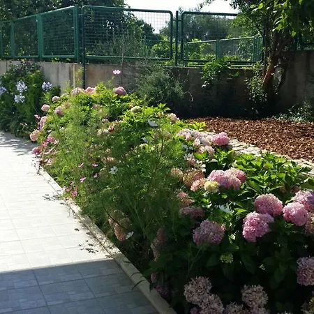 Lilac * Trogir